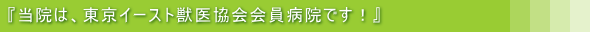 �]���擌�z���̃P�C�����a�@ �����C�[�X�g�b�㋦��̉���a�@